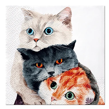 Papierové obrúsky BETTER TOGETHER 20 ks