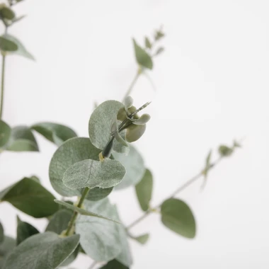 Umelý kvet eukalyptu 48 cm