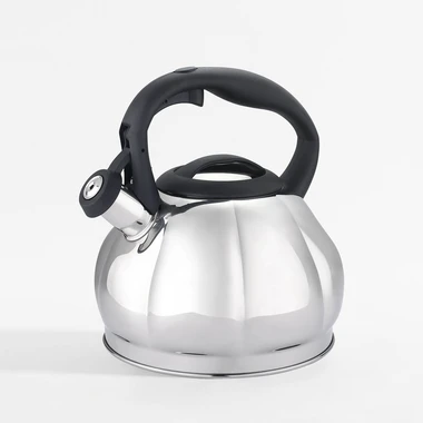 Plynová a indukčná kanvica v striebornej farbe 3,3 l