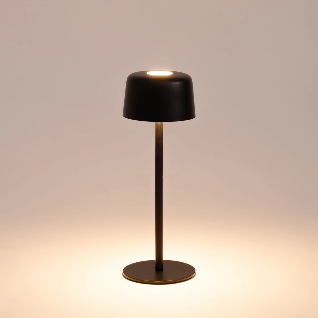 Wbudowane oświetlenie LED w lampie ma moc 2W, emituje strumień świetlny o wartości 80 lumenów.