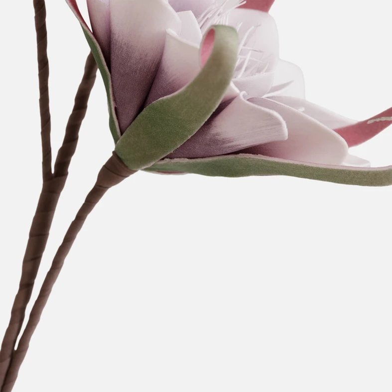 Potrójny biało-fioletowy kwiat