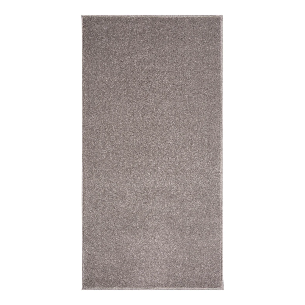 Svetlosivý koberec do predsiene FOCUS 80x150 cm