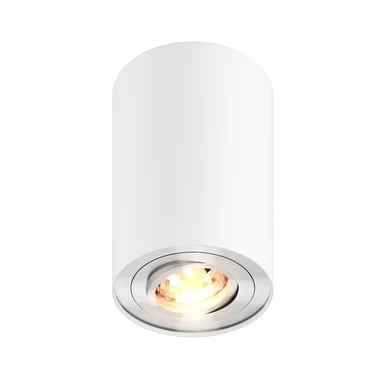 Bodové svietidlo na povrchovú montáž s nastaviteľným bielo-strieborným RONDOO