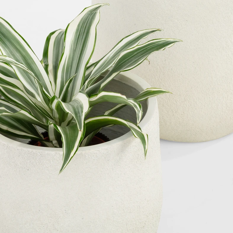 Súprava 2 bielych kvetináčov