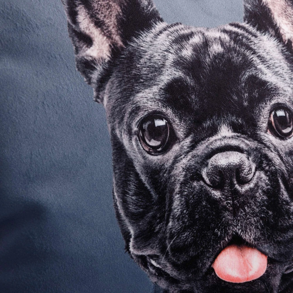 Dekoračný vankúš PES francúzsky buldog 50x50 cm