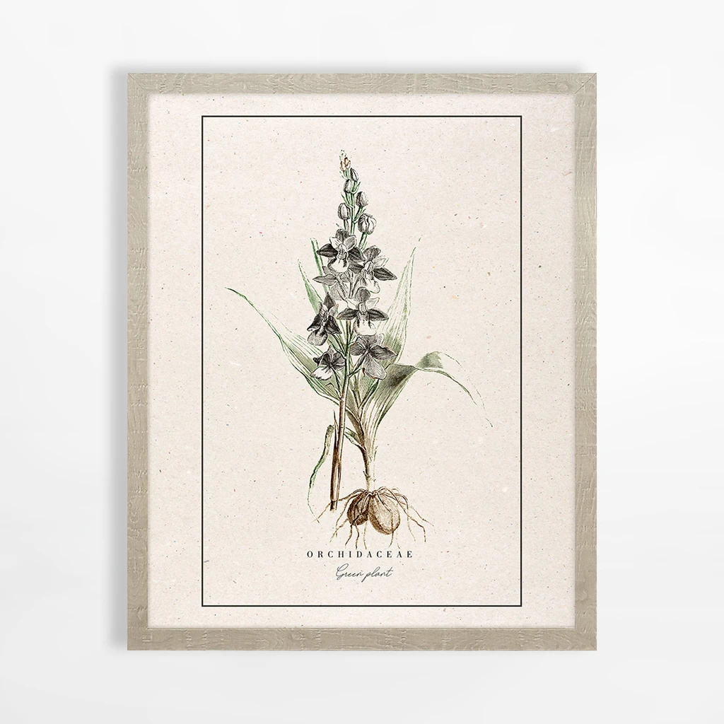 Obraz s orchideou BOTANIC 40x50 cm