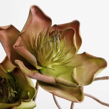 Umelý kvet zeleno-hnedý 70 cm