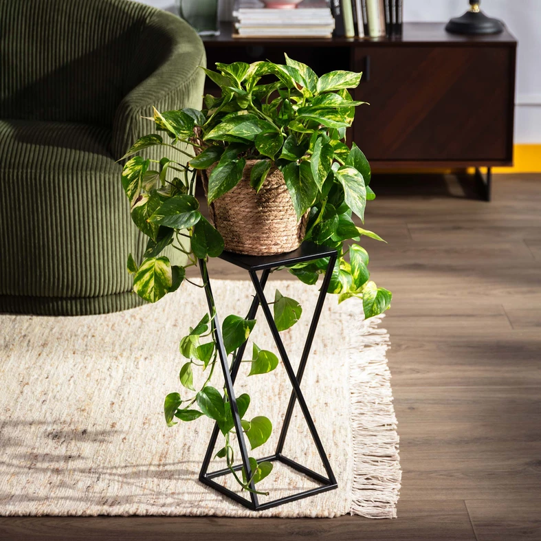 Loftový stojan na kvety, čierny dub LESCAR XS 47 cm