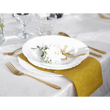 Obrúsky INSPIRATION CLASSIC 20 ks