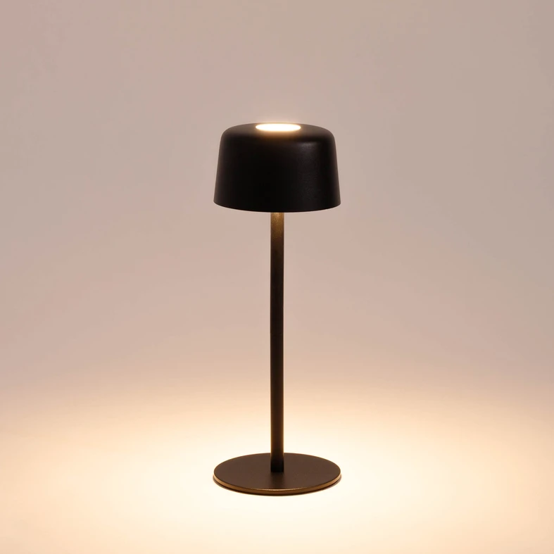 Wbudowane oświetlenie LED w lampie ma moc 2W, emituje strumień świetlny o wartości 80 lumenów.