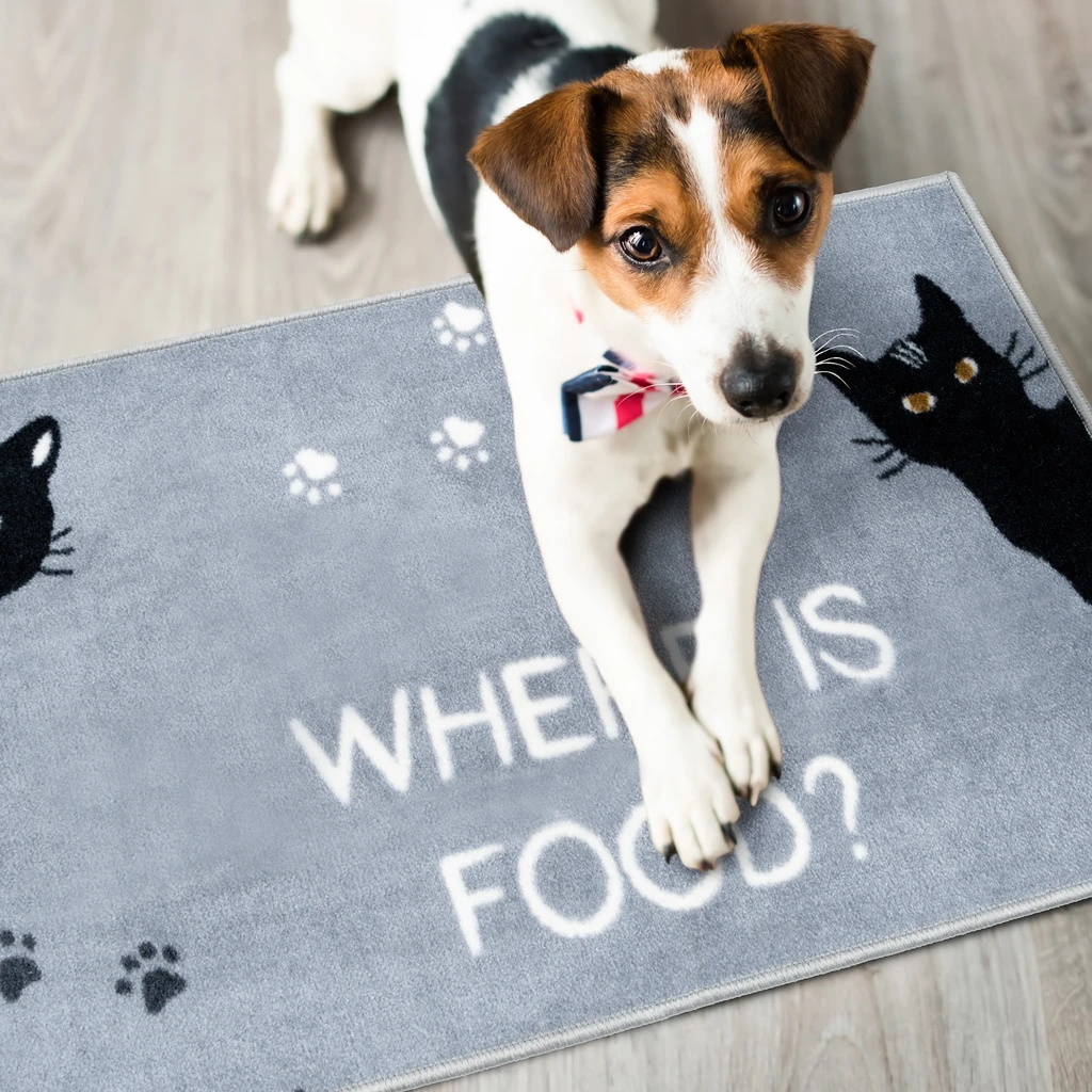 Protišmykový koberček DOG&CAT WHERE IS FOOD 40 x 60 cm