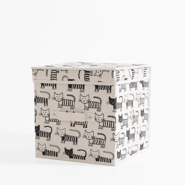 Pudło w koty