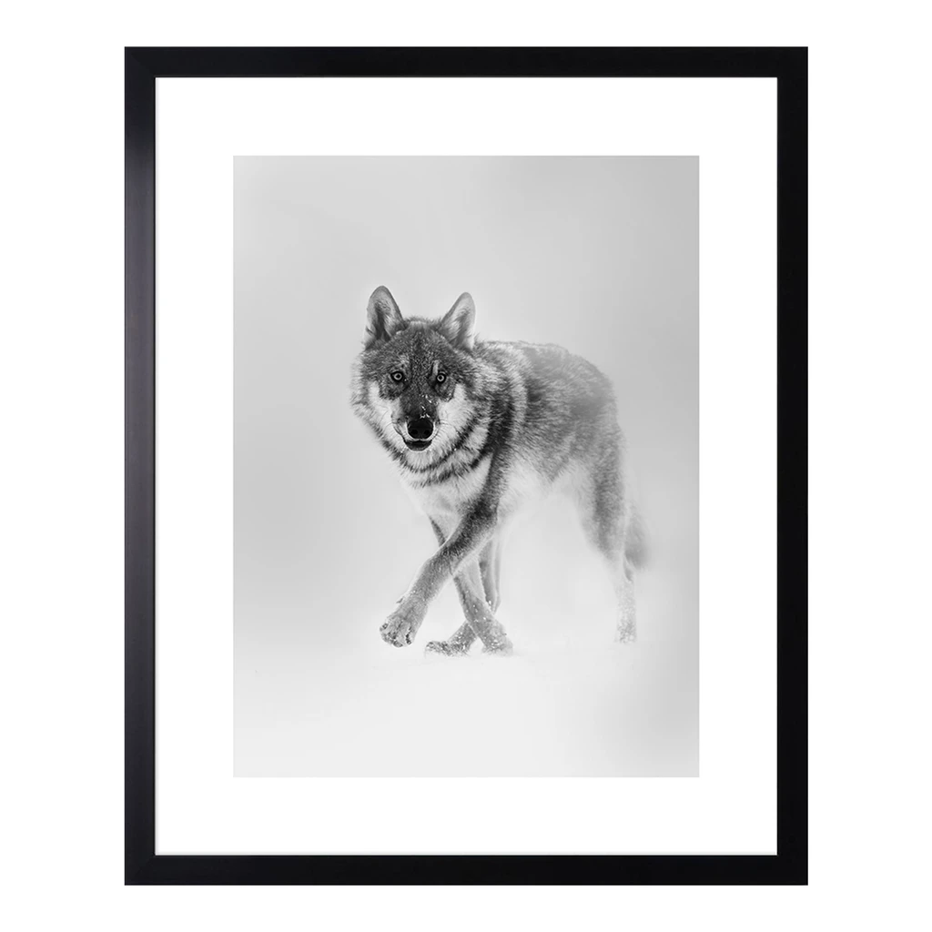 Obraz WOLF 43 x 53 cm