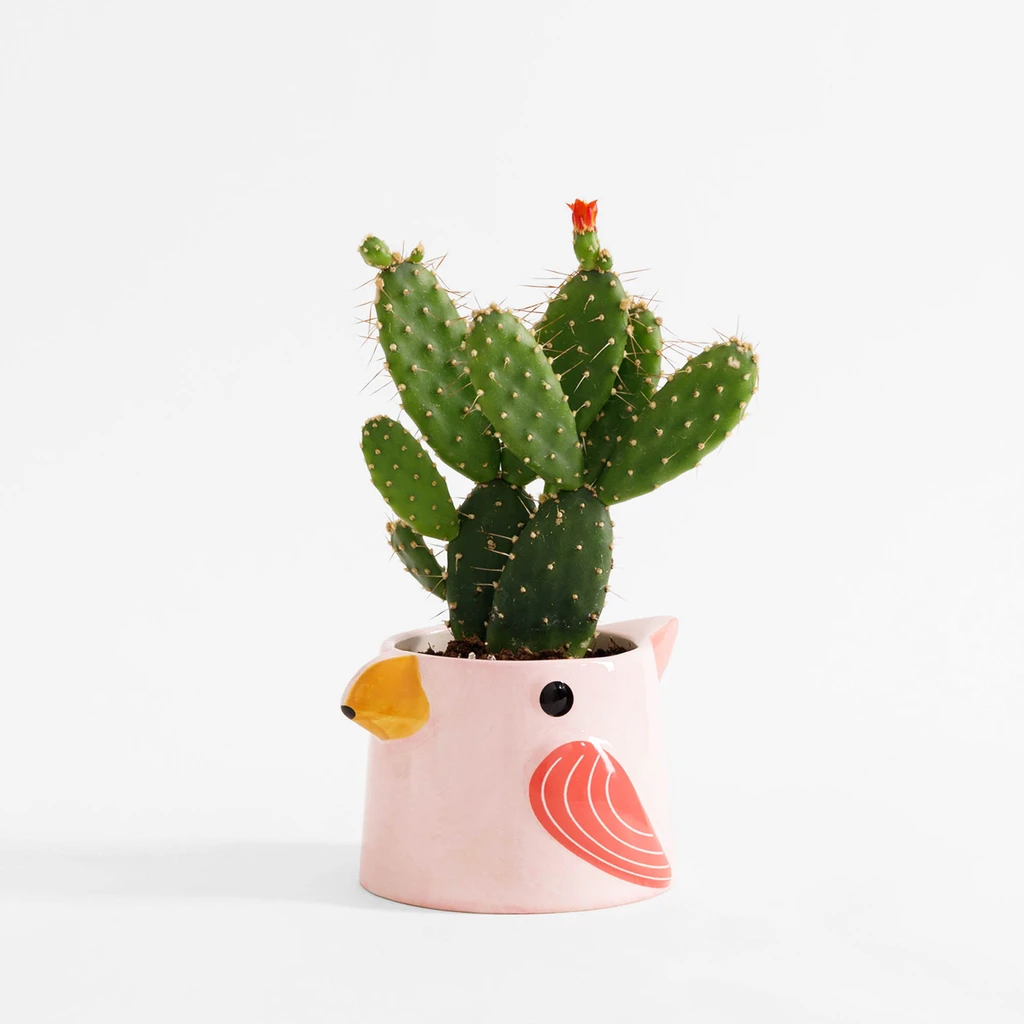 Kvetináč na balkón, vták, MIX