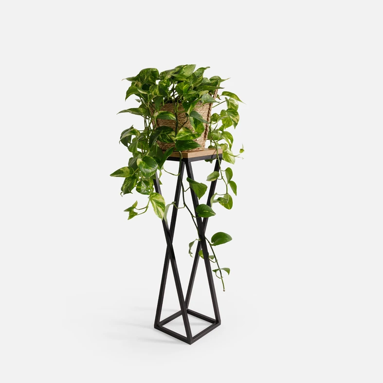 Loftový stojan na kvety, čierny dub LESCAR XS 47 cm