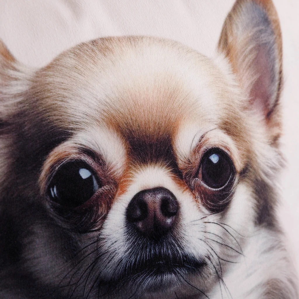 Dekoračný vankúš PES chihuahua 50x50 cm