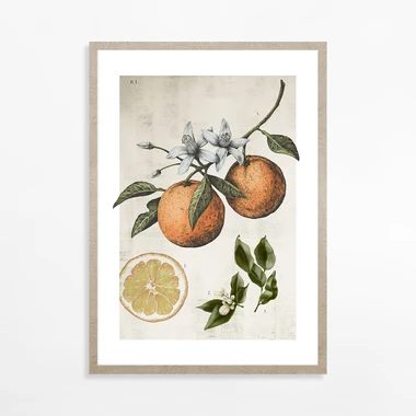 Maľba ORANGE LIFE CYCLE 21x30 cm