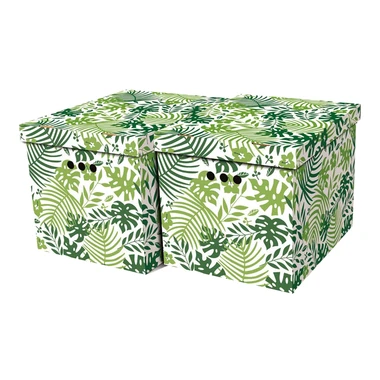 Sada 2 úložných krabíc TROPICAL XL