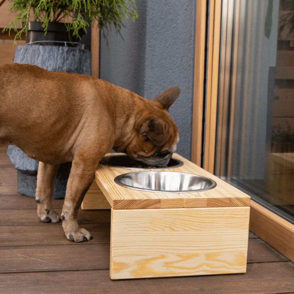 Stojan s miskami pre psa BUZZ M