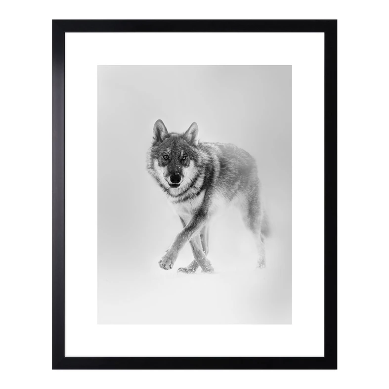 Obraz WOLF 43 x 53 cm