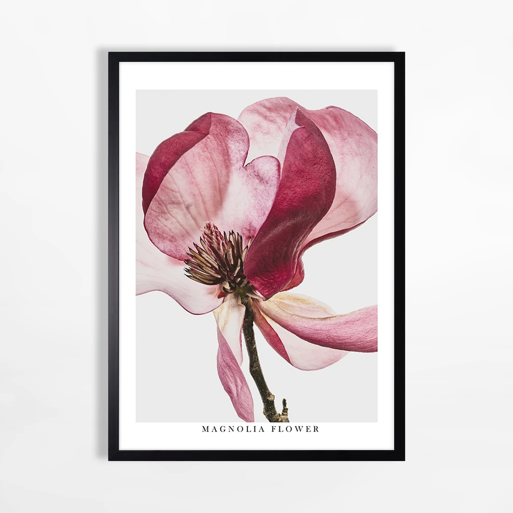 Obraz RED FLOWER II do obývacej izby 50x70 cm