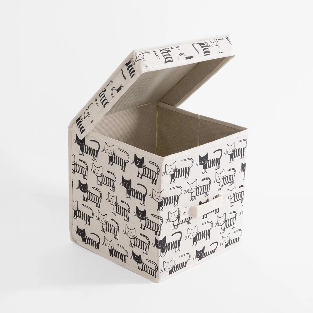 Pudło w koty