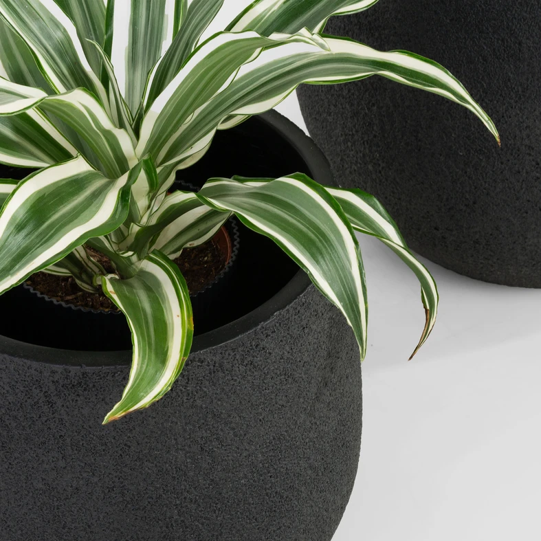 Súprava 2 čiernych kvetináčov