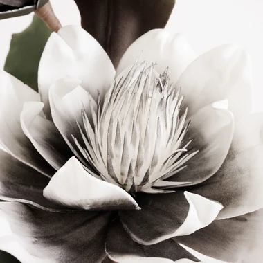 Umelý kvet magnólie sivý 103 cm
