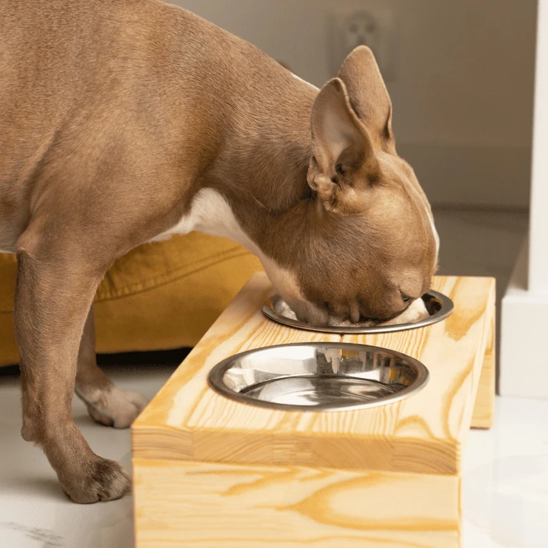 Stojan s miskami pre psa BUZZ S